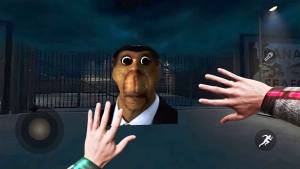xòˆΈD2