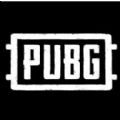 pubgʷģʽ2.6° v2.9.0