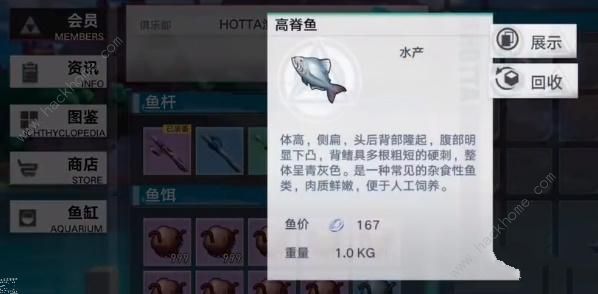 ��������ô�Ž����չ�� ��Ž����չ������ͼƬ2