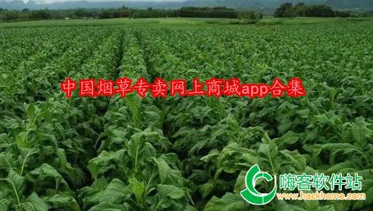 中国烟草专卖网上商城app合集