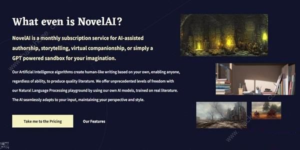 novelaiͼɵڲԵַǶ novelaiڲַ[ͼ]ͼƬ1