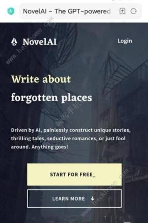 novelaiͼɵڲԵַǶ novelaiڲַͼƬ4