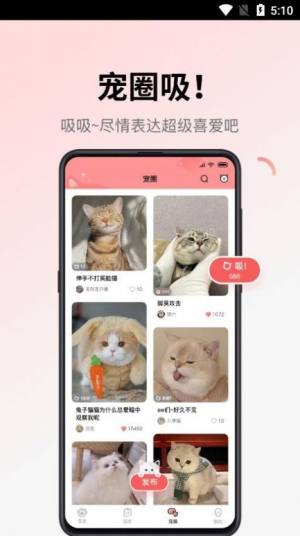 ЌappD2