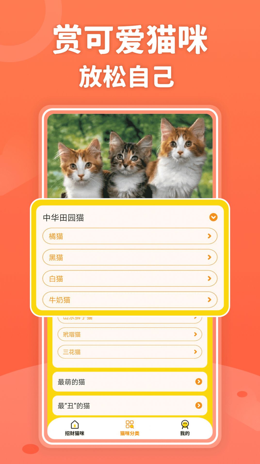 招财进猫百科学习app官方下载图片2