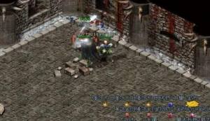 Ӣ֮ıѩ[D3