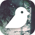 Bird PhotographyӰappٷ v1.2