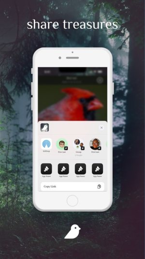 Bird Photography appD2
