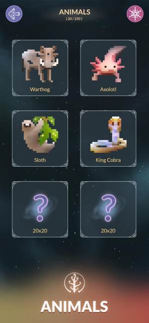 Life Color Nonogram游戏安卓版游戏下载图片1