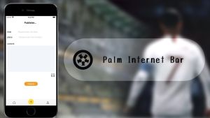 Palm Internet Bar appͼ1
