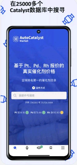 Auto Catalyst Market催化转化器目录app下载安装图片1