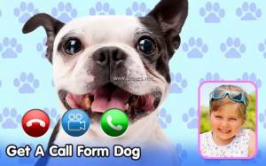 Dog Fake Call appͼ1