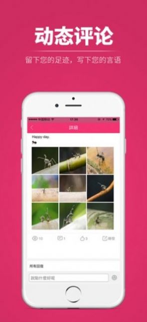 רapp°汾ͼ3: