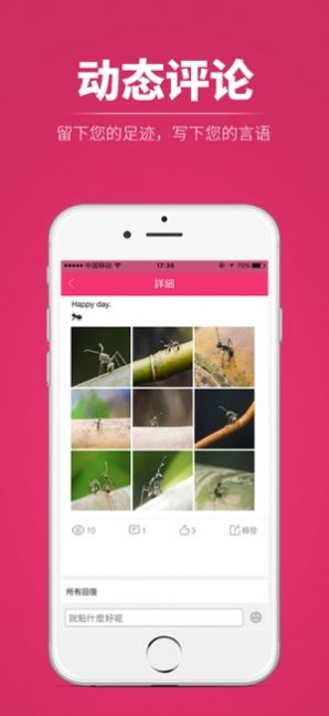רapp°汾ͼ4: