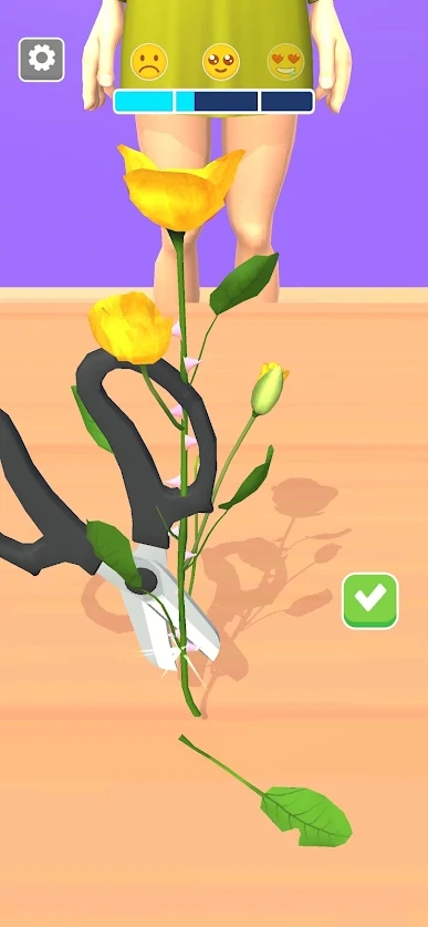 3D[׿棨DIY Florist ShopD2: