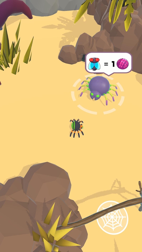 ֩C[׿棨Spider DenDƬ1
