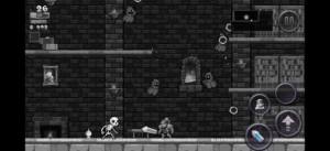 Rogue Legacy2İD1