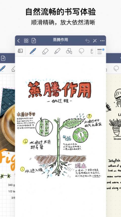 GoodNotes 5iosѰappͼ1: