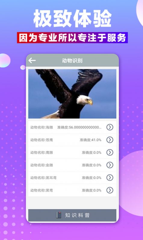 ʶappͼ1: