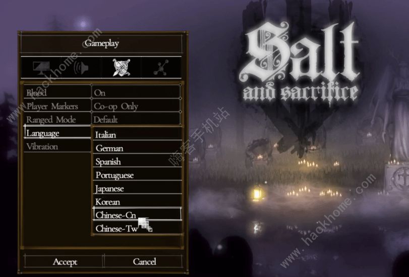 盐与献祭怎么联机  Salt and Sacrifice游戏联机教程[多图]图片3