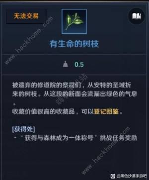 黑色沙漠手遊有生命的樹枝怎麼刷 有生命的樹枝稱號獲取攻略圖片1