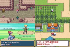 口袋妖怪神奥编年史下载0.75安卓版图片1