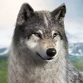 Ұ׿ϷأWolf Game The Wild Kingdom v0.9.15