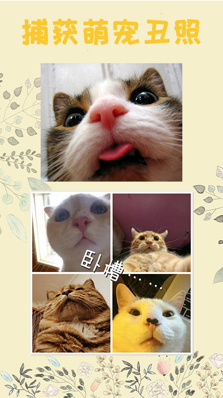 è﷭빤app°ͼ1: