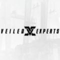 VEILED EXPERTS[