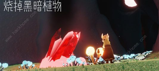 �������鼾��һ��������ô�� ���鼾��һ��������ɹ���ͼƬ5