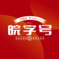 皖字号查询app