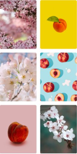 ��Դ����¼app�ٷ�����ͼ2: