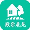¹Էappٷ v1.1.4