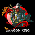 龙之君王游戏中文手机版（Dragon King） v1.1