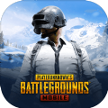 PUBG M(ʷ)2.1.0°