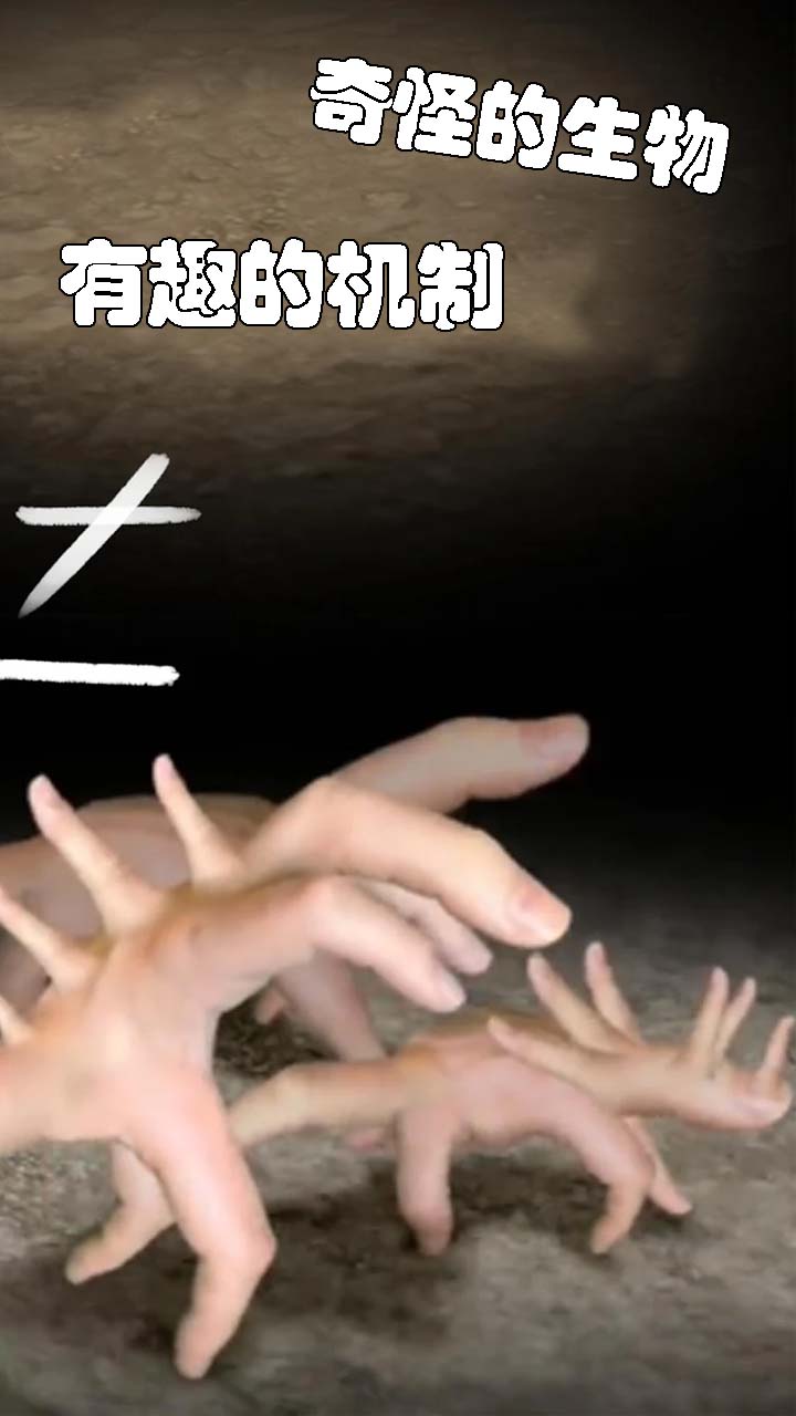 ССָM֮·[ٷ°D2: