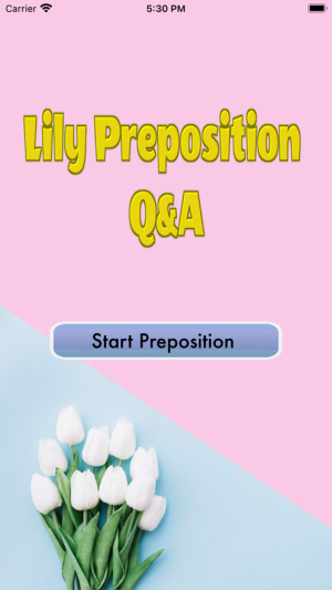 Lily Preposition Q A appͼ3