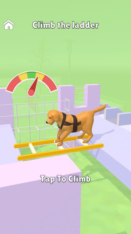 ѵϷ׿棨Hyper Dog Trainingͼ2: