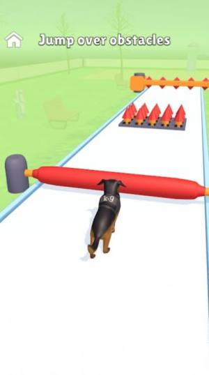 Hyper Dog TrainingϷ׿İͼƬ1