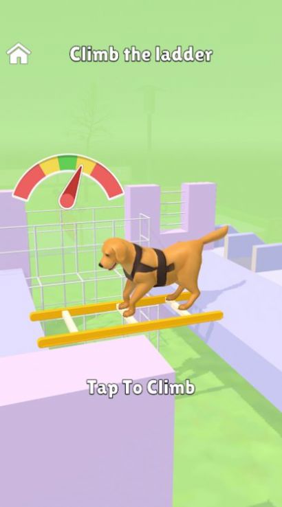 Hyper Dog TrainingϷ׿İͼƬ2