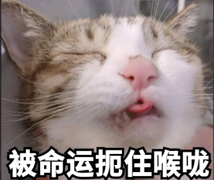 天天被人捅嗓子眼表情包下载_天天被人捅嗓子眼搞笑动图表情包高清版