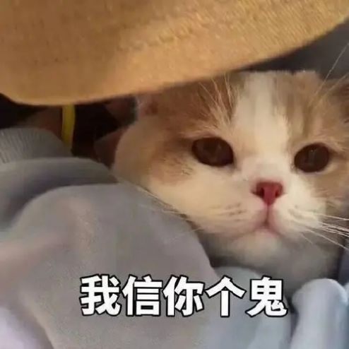 我信你个鬼表情包gif图片大全下载v10