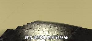 森林裏的滑滑梯遊戲攻略大全 Slide In The Woods通關結局總彙圖片6