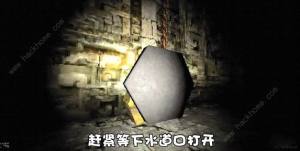 森林裏的滑滑梯遊戲攻略大全 Slide In The Woods通關結局總彙圖片10