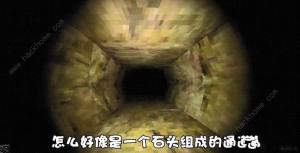森林裏的滑滑梯遊戲攻略大全 Slide In The Woods通關結局總彙圖片5