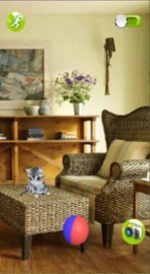 һ����׽è��Ϸ���°�׿��ͼ1: