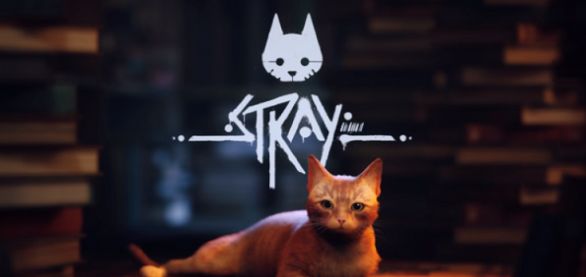 ʧstrayֲ[ɴnٷD1: