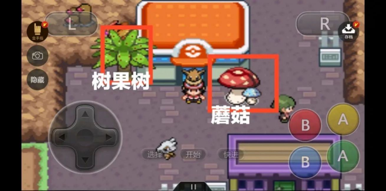 ڴٻ°溺ͼ3: