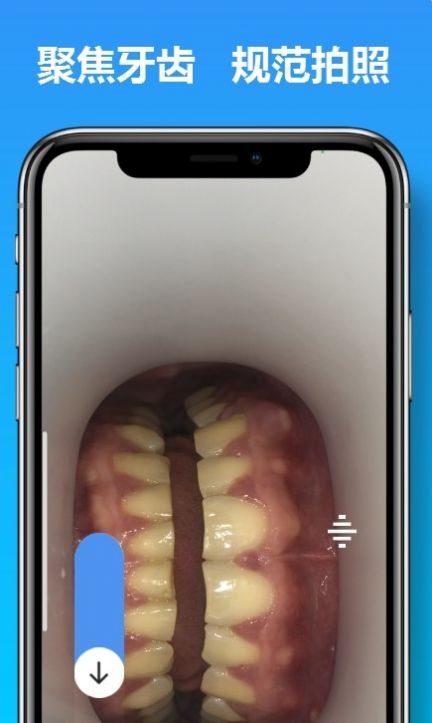 Ͽappٷͼ1: