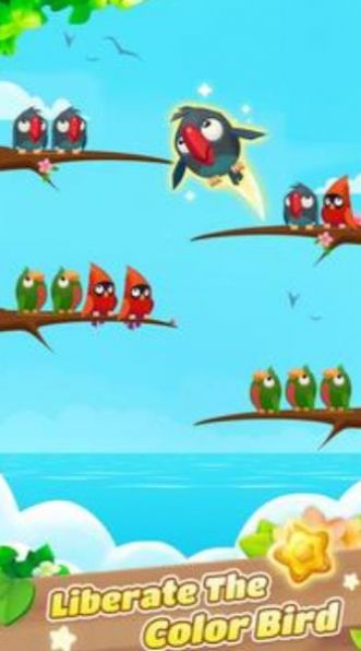 ɫİϷأColor Bird Sortͼ3: