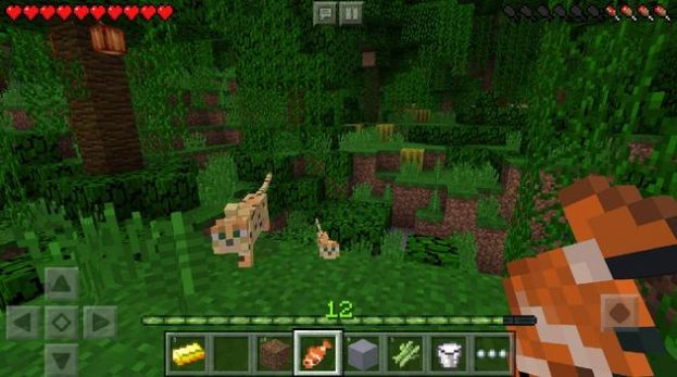ҵHypixelٷİD3: